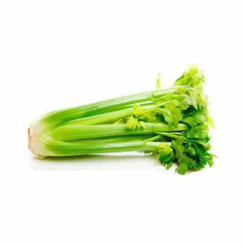 Celery kg.